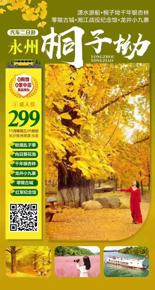 2020秋.永州【桐子坳】汽车二日游299元
纯玩0购物0景中店 潇水游船•桐子坳千年银杏林•零陵古城•湘江战役纪念馆•龙井小九寨（10月31号起每周三六发班）