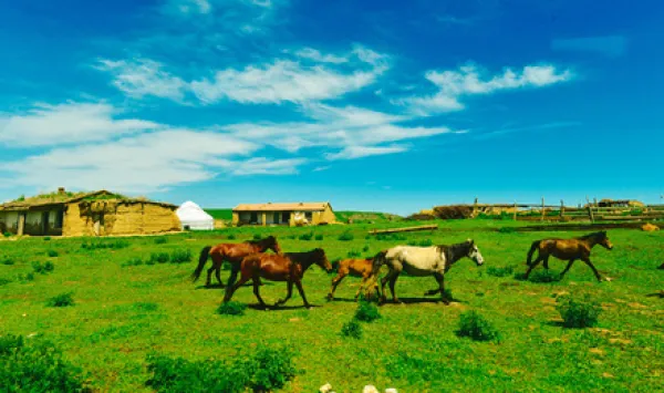 北疆 伊犁环线5日游（独库公路/那拉提草原骑马/巴音布鲁克日落/赛里木湖环湖/网红离街/薰衣草/喀拉峻/独山子峡谷）