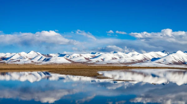 西藏拉萨-林芝大峡谷-鲁朗林海-羊湖-巴松错9日游