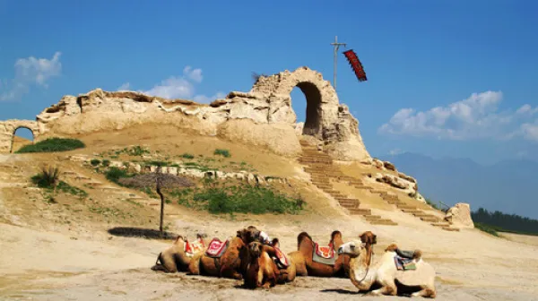 沙湖-水洞沟-沙坡头-西夏陵-贺兰山岩画-镇北堡西部影城汽车3日游