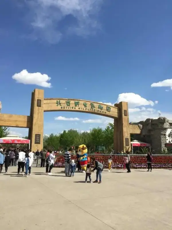 北京野生动物园喂动物