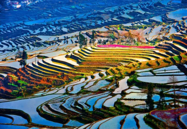 昆明-红土地-罗平-普者黑-元阳梯田-抚仙湖双飞7日游