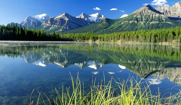 若尔盖大草原+九曲黄河第一湾+花湖三日游