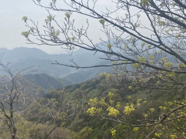 赞巴士八达岭一日游