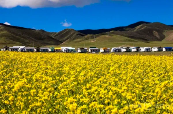 
【自由行·促销】五日探秘青海：青海湖+东西吉乃尔湖+水上雅丹+ 茫崖翡翠湖+艾肯泉