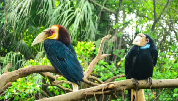 广东6日包团定制游