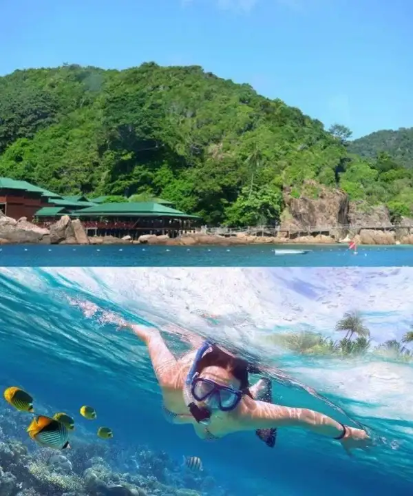 马来西亚自由行✨7天6晚!