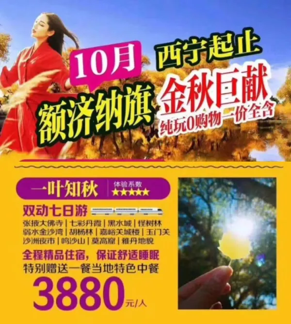 一叶知秋双动七日游