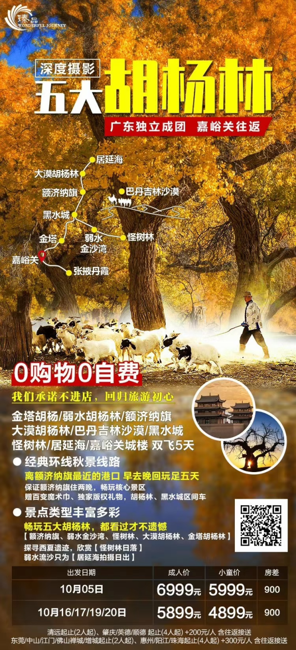 五大胡杨林 深度摄影五日游