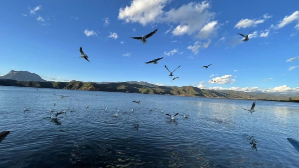 泸沽湖两日纯玩游（全程无购物）