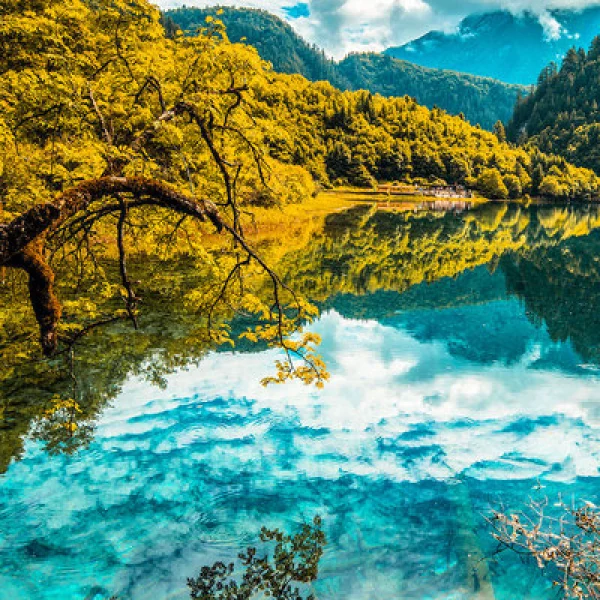 随心飞”成都出发九寨沟黄龙旅游2天1晚四川小团两日游跟团纯玩