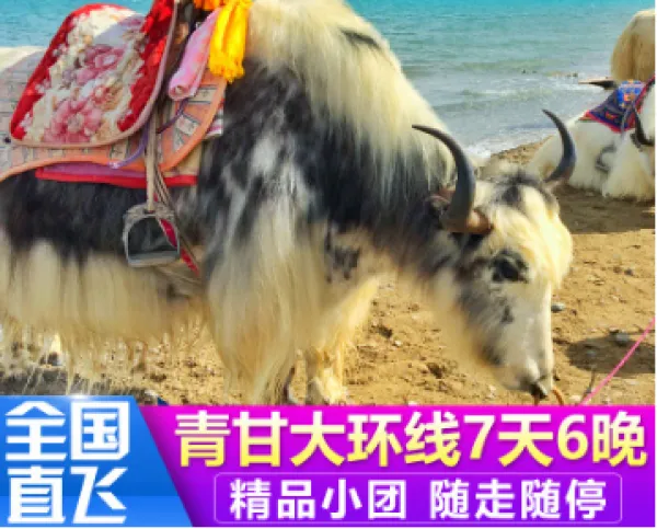 【含机票】青甘大环线7天6晚青海旅游拼车敦煌青海湖茶卡盐湖纯玩