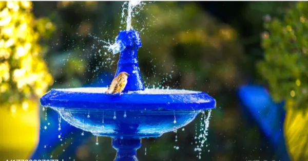 摩洛哥撒哈拉沙漠+卡萨布兰卡+马拉喀什+舍夫沙万12日跟团游