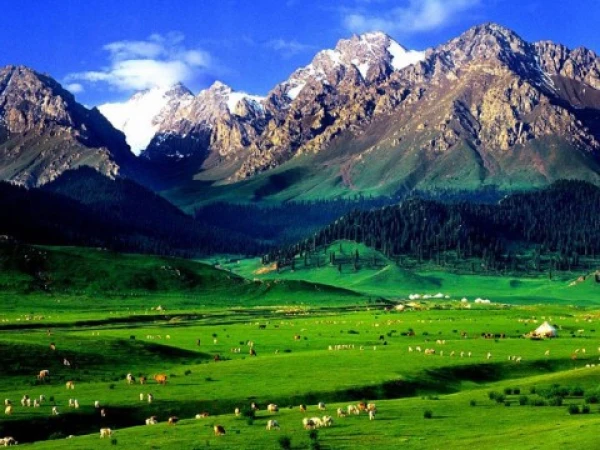 南疆喀什市内+达瓦昆、天山天池、“火洲”吐鲁番6日游
