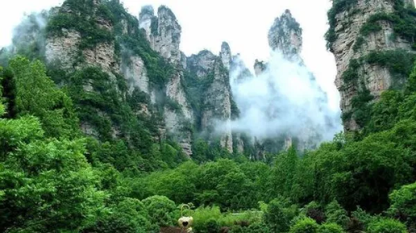 <张家界森林公园-天门山-玻璃栈道超人气4日自驾游>精选张家界五星/四星酒店品质出行+可升级天门山+森林公园+魅力湘西+大峡谷门票