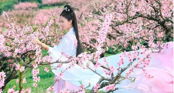 常德+桃花源2日1晚私家团