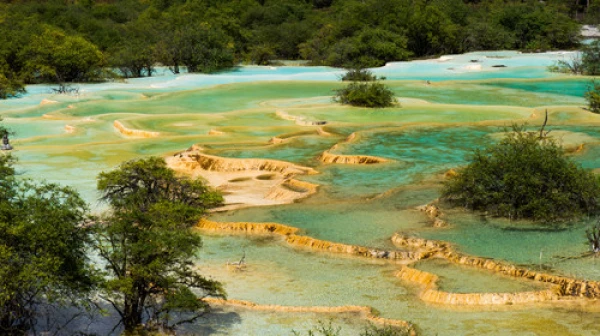 成都-九寨沟-都江堰-青城山-乐山大佛-峨眉山双飞8日游