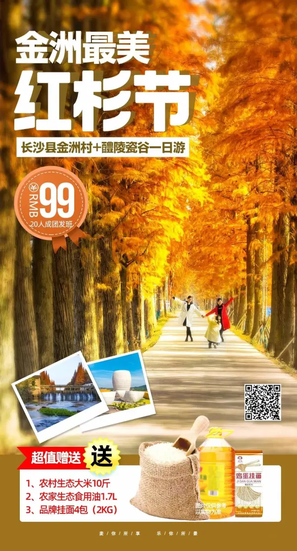 金洲醉美 红杉节 长沙县金洲村 醴陵瓷谷一日游