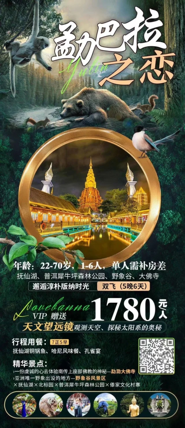 【勐巴拉之恋】抚仙湖-普洱犀牛坪森林公园-野象谷-大佛寺邂逅淳朴版纳时光 双飞5晚6天
