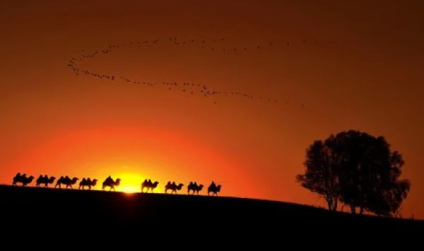 北京出发-银川，中途拍照打卡