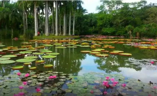 云南昆明+西双版纳+丽江+大理+香格里拉+泸沽湖+玉龙雪山11日10晚私家团