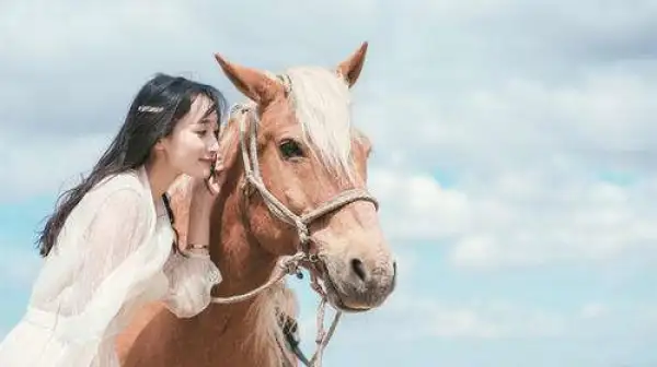 春季踏青专线-呼伦贝尔+黑山头+满洲里·4天3晚自由行-vlog旅拍 奢选入住+特色蒙古包+中成假日+满洲里4星酒店-骑马穿越-射箭-滑草-挤牛奶-喂小羊-畅玩私家牧场