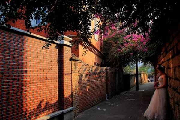 【跟团游】遇见厦门☂曾厝垵→集美学村♔鼓浪屿♧南普陀寺♣冰雪世界☂企鹅馆厦门双✈4日游 