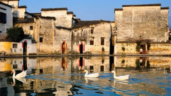 <黄山-宏村4日游>登黄山赏全景，黄山北站免费接送，2晚宿市区，1晚宿山上独卫，纯玩无购物