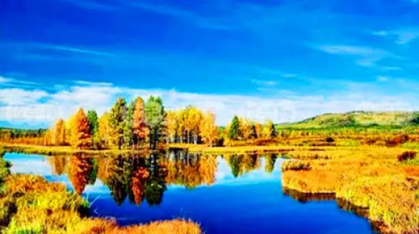 呼伦贝尔草原-根河-室韦-莫尔道嘎双飞双卧7日游