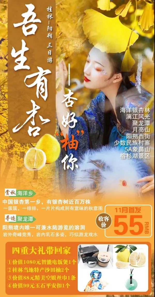 11月6日首发【¥55吾生有杏，杏好“柚”你】桂林海洋银杏林、阳朔西街、聚龙潭溶洞、竹筏漓江、桂林城徽象鼻山汽车三日游