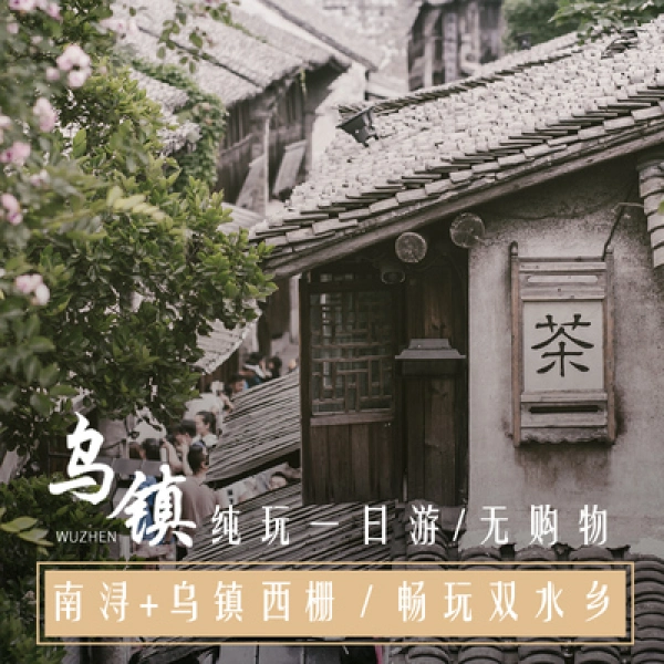 杭州出发乌镇纯玩一日游经典东栅一日 东+西栅夜景 西塘+西栅夜景跟团游
