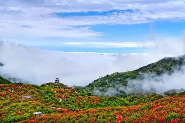 【长沙出发】大围山/皇龙峡/周洛/平江龙峡
漂流纯玩跟团一日游