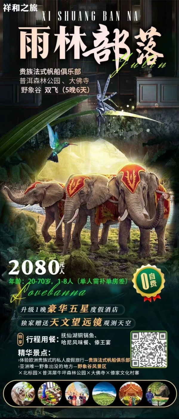 【雨林部落】贵族法式帆船俱乐部 普洱森林公园-大佛寺-野象谷 双飞5晚6天