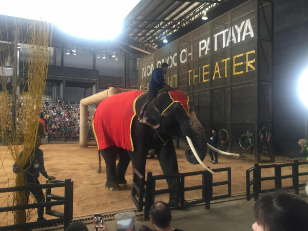 【跟团游】泰国曼谷+芭提雅+沙美岛6日游+豪华酒店+夕阳海景餐厅+沙美岛出海+公主号 