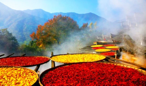 婺源篁岭·奇秀三清山3日定制游（晒秋鲜花小镇+魔幻怪屋/悬浮屋+司春女神VS巨蟒出山+晨起观日出云海）
