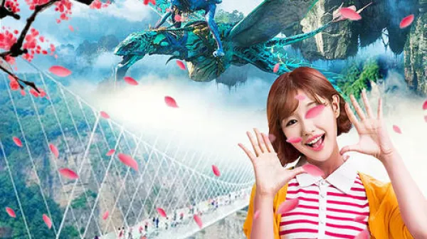 私人行程丨长沙-张家界森林公园-天门山-凤凰古城5日自由行 住江边特色客栈丨只看核心景点丨专车接送丨24小时微信导游