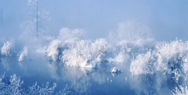 预售元旦春节·冰雪集结东北7日深度游