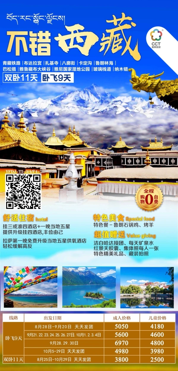 不错西藏双卧11天