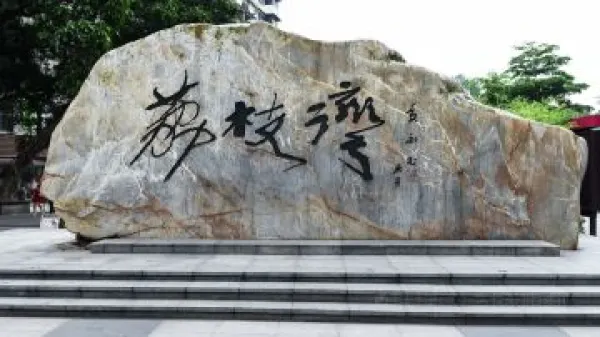 广州长隆+惠东巽寮湾+深圳5日4晚