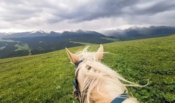 乌鲁木齐-坎儿井-库木塔格沙漠-赛里木湖-那拉提-禾木-喀纳斯-魔鬼城12日游